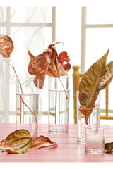 Set pahare LV-LBR340F - Transparent